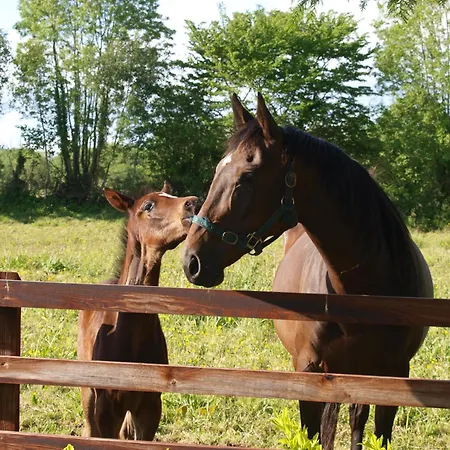 Glebe House * Taghshinny