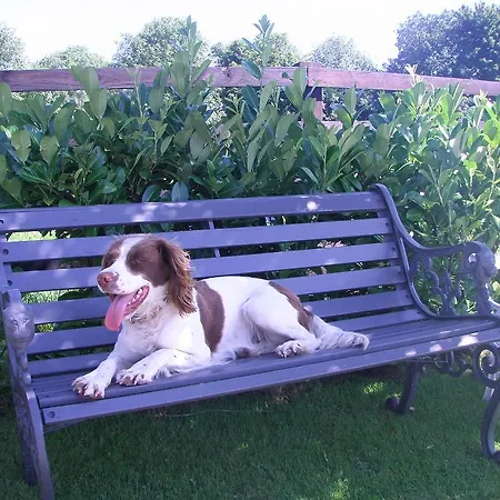 Glebe House Летний дом *