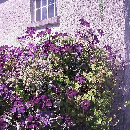 Glebe House Country house *