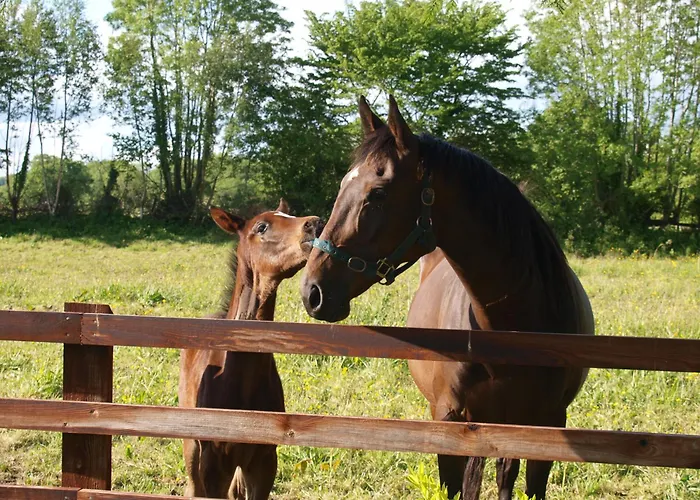 Glebe House * Taghshinny