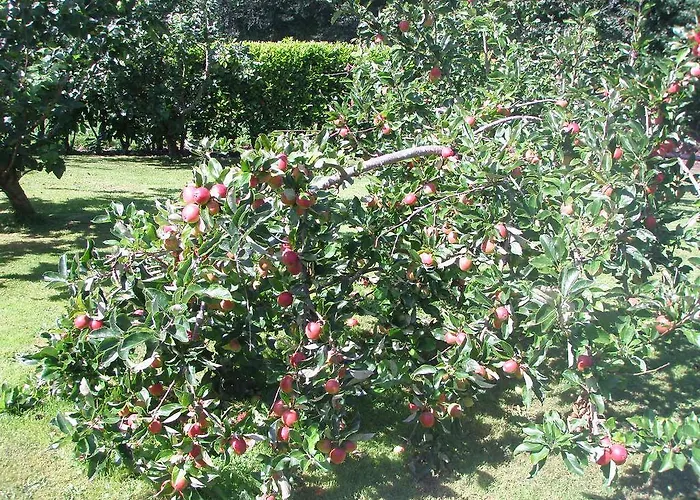 Venkovský dům Glebe House
