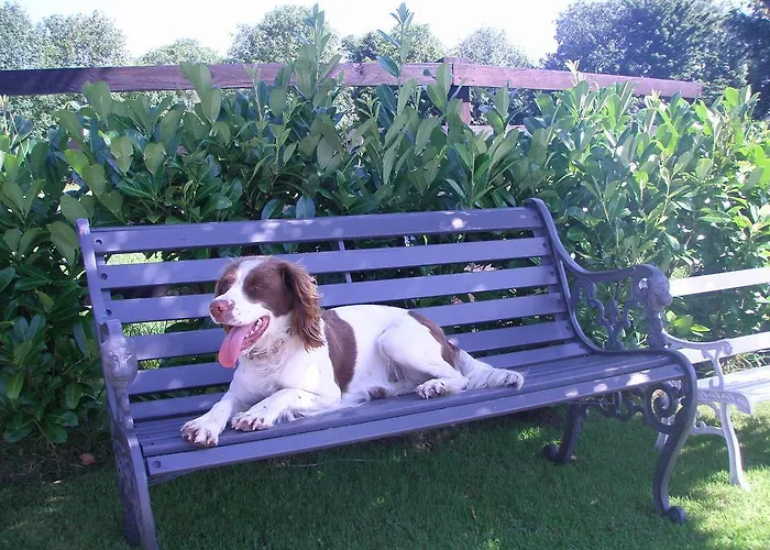 Glebe House Venkovský dům *