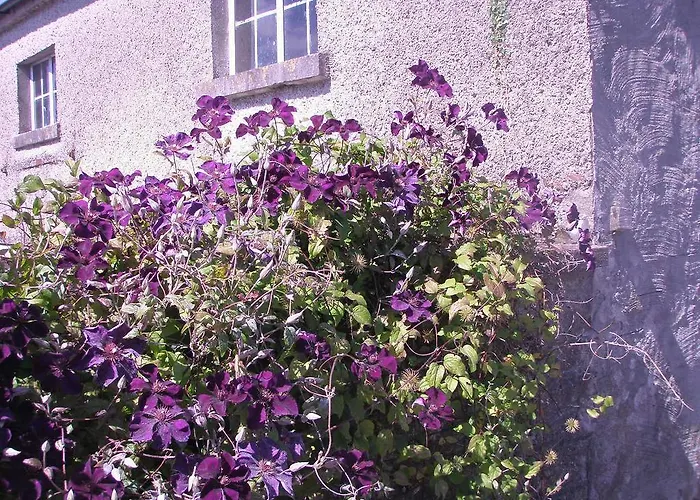 Glebe House Landsted *