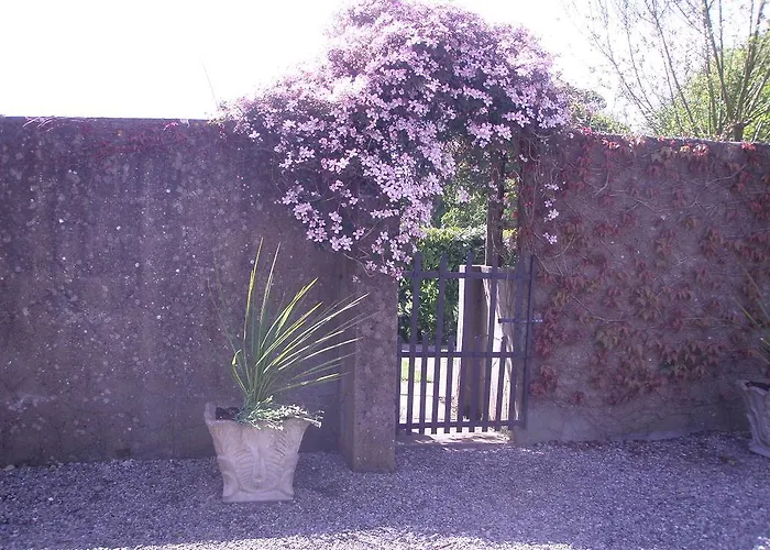 Glebe House Venkovský dům